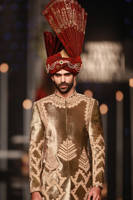 Picture of Shahnawaz