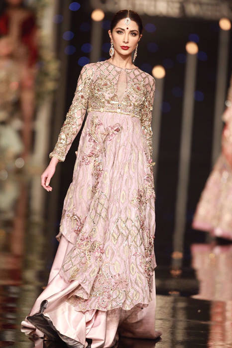 Picture of Gul Mohar