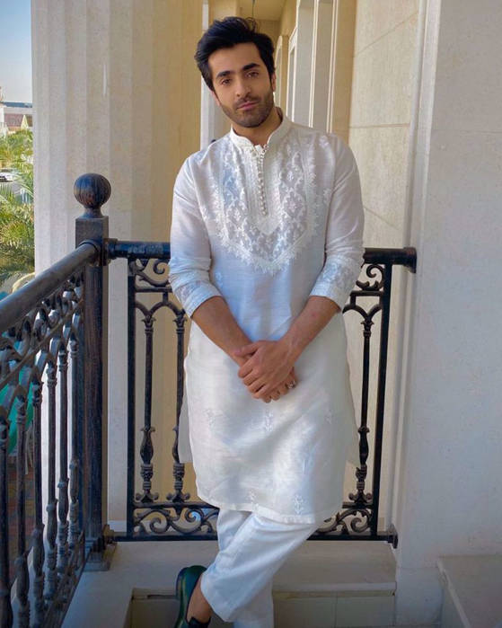Picture of Sheheryar Munawar