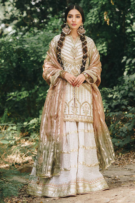 Picture of Noor Banu