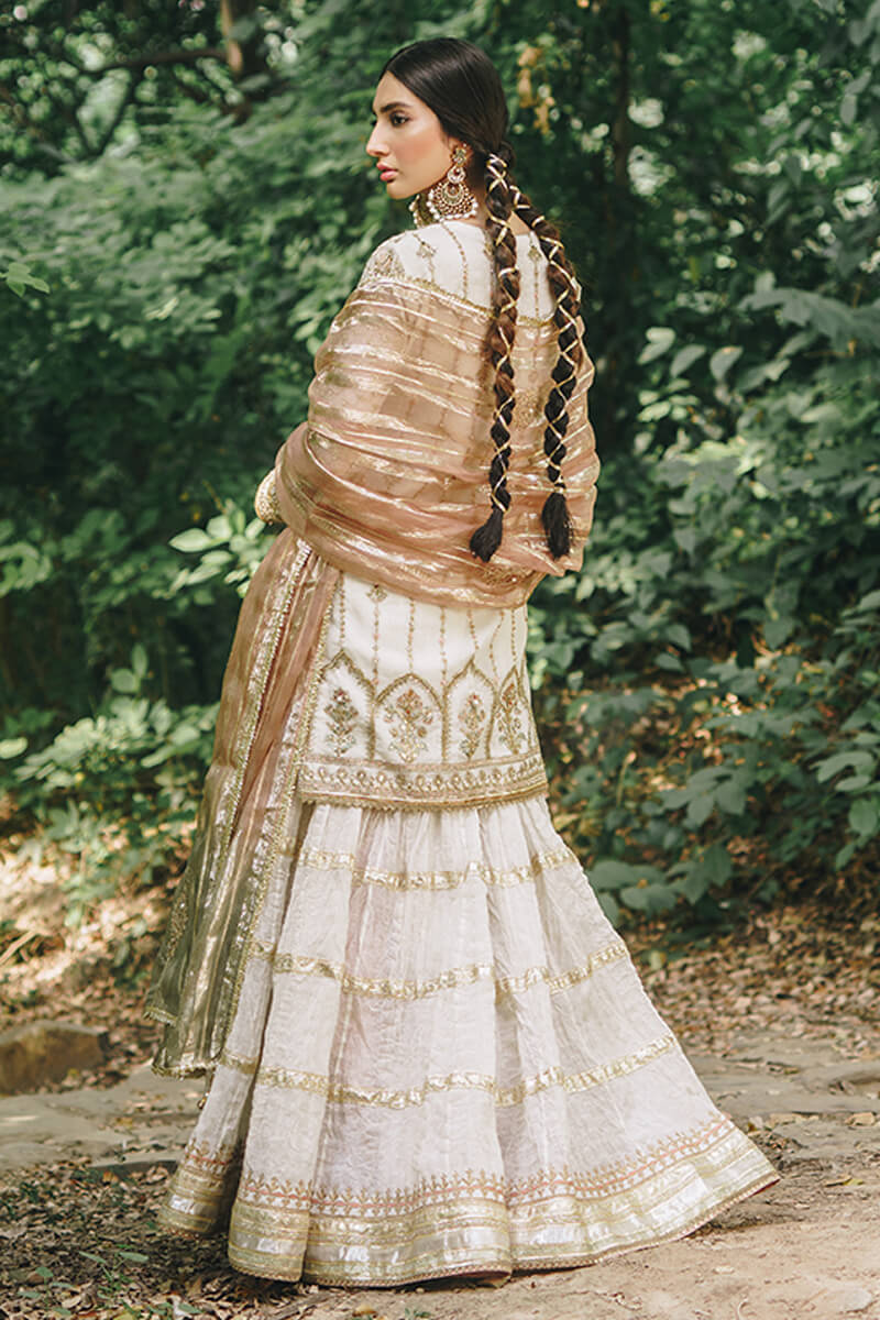 Picture of Noor Banu