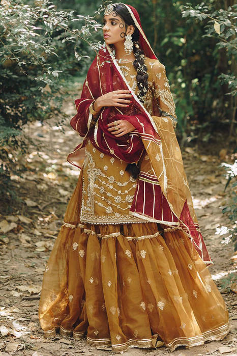 Picture of Megha