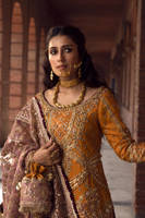 Picture of Gul-E-Maryam