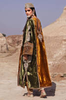 Picture of Chak 77 Janoobi