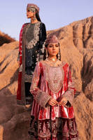 Picture of Chak Kot Qadir