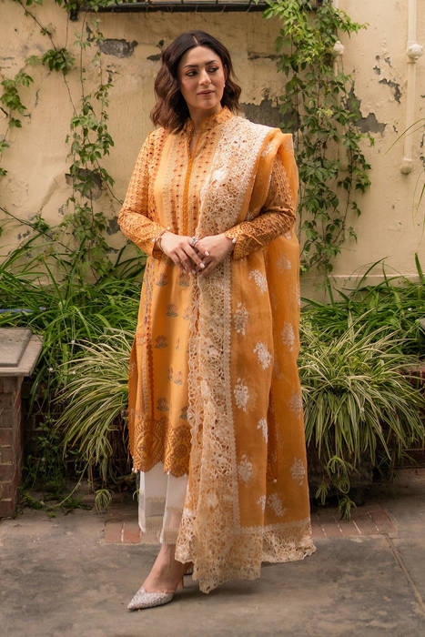 Hadiyya Aazer in Nargis Ka Phool