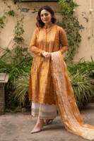 Picture of Hadiyya Aazer in Nargis Ka Phool