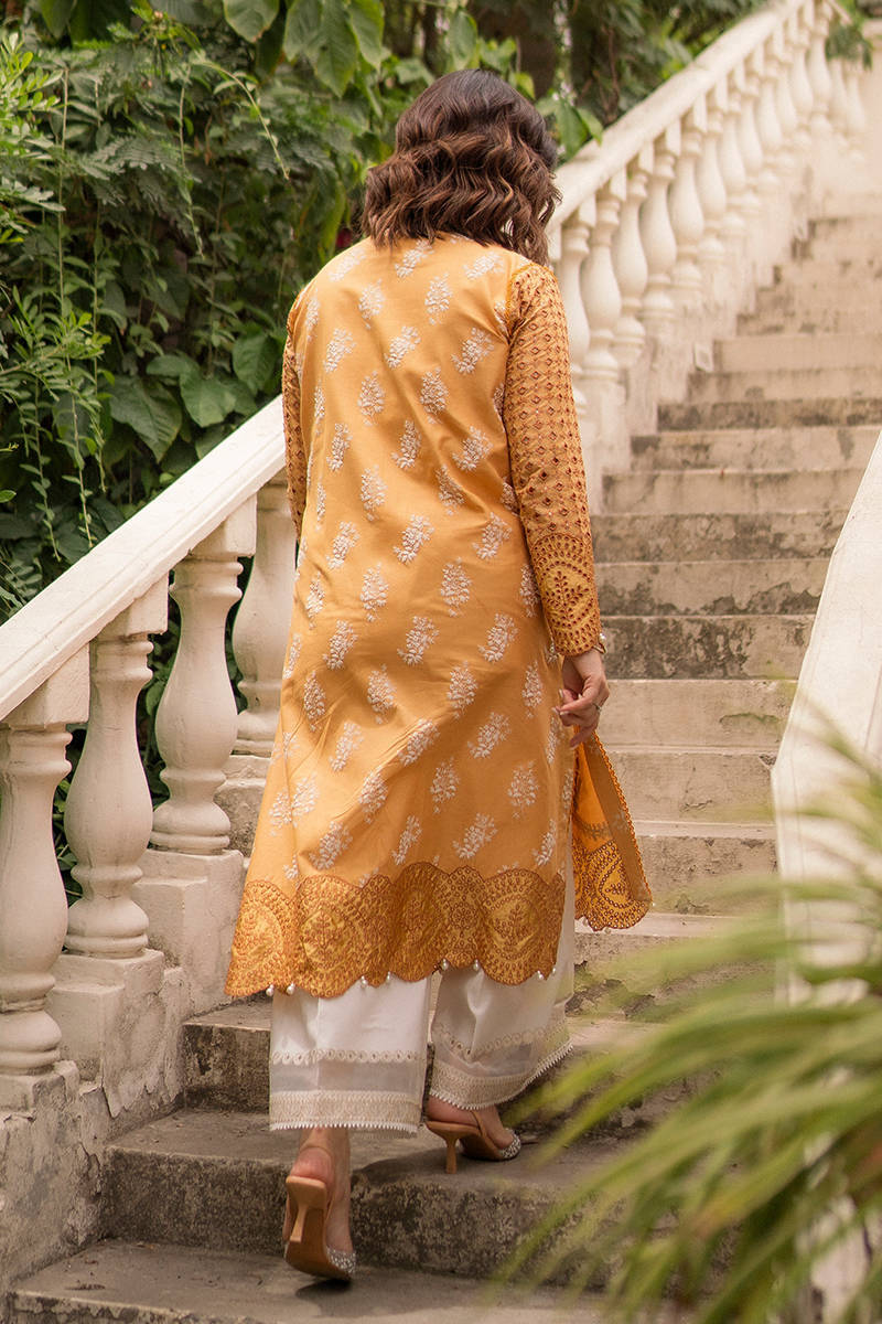 Picture of Hadiyya Aazer in Nargis Ka Phool