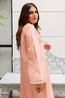 Picture of Peach Delight