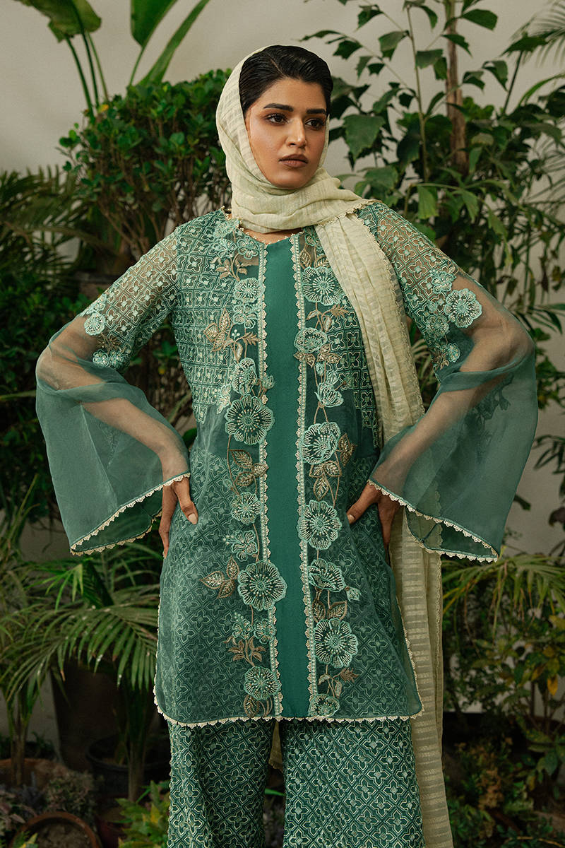 Picture of Mint Condition