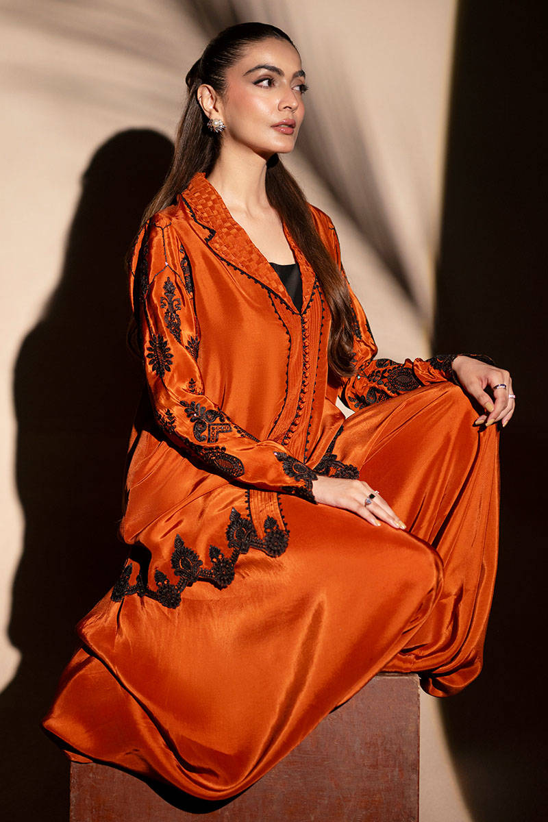 Picture of Paprika Spice