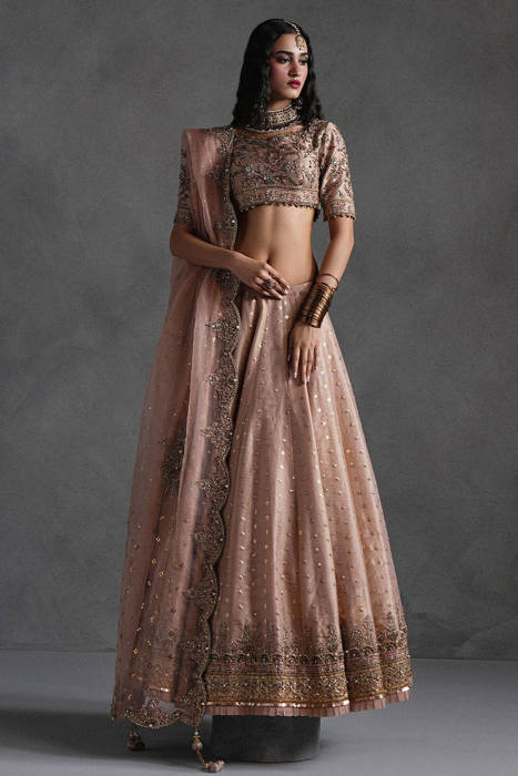 Picture of Rose Pink Lehnga Choli