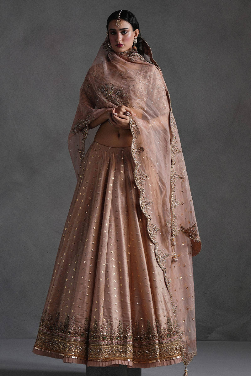 Picture of Rose Pink Lehnga Choli