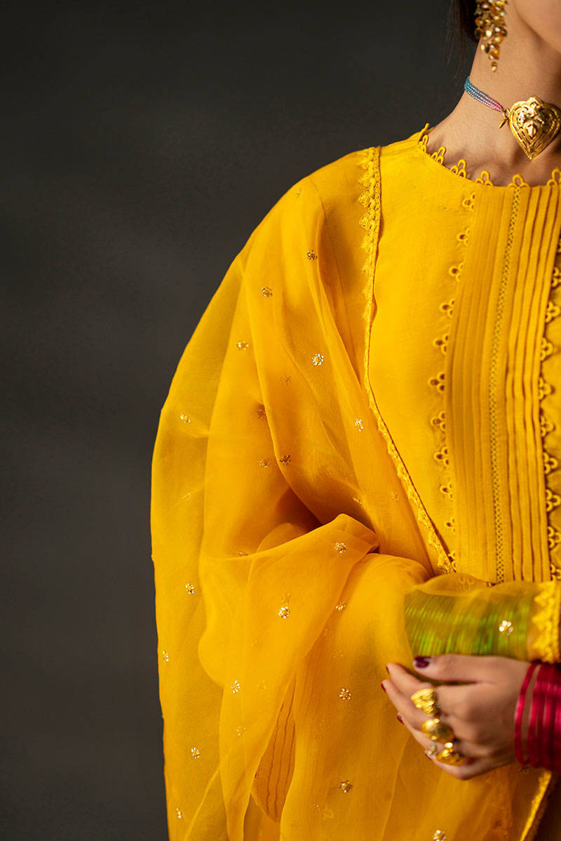 Picture of Iqbal Bano