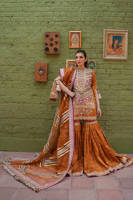 Picture of Zainab Reza in Ranjish