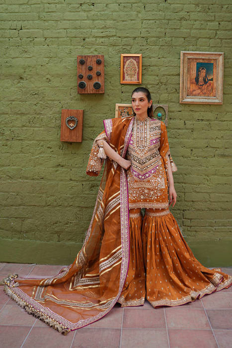 Zainab Reza in Ranjish