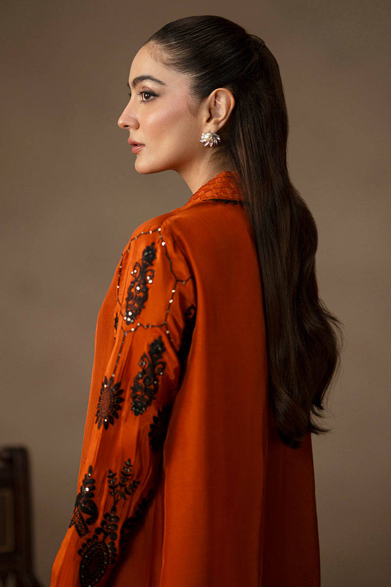 Picture of Paprika Spice