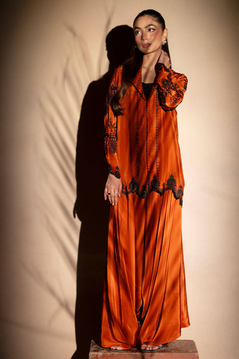 Picture of Paprika Spice