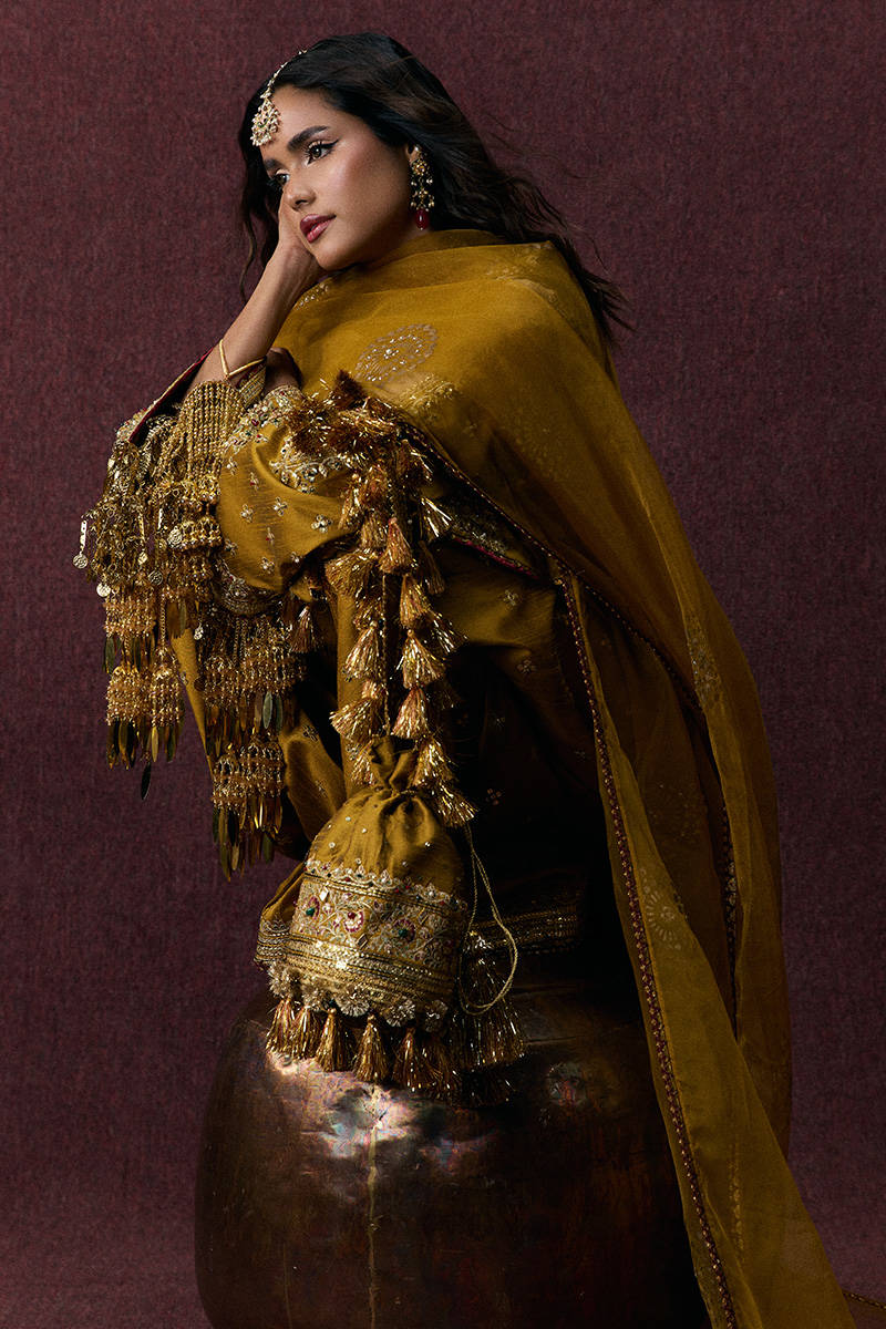 Picture of Bahar Begum