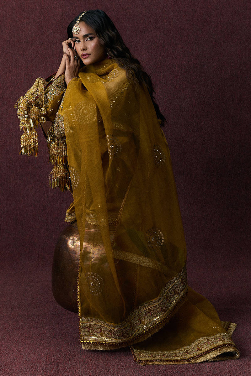 Picture of Bahar Begum