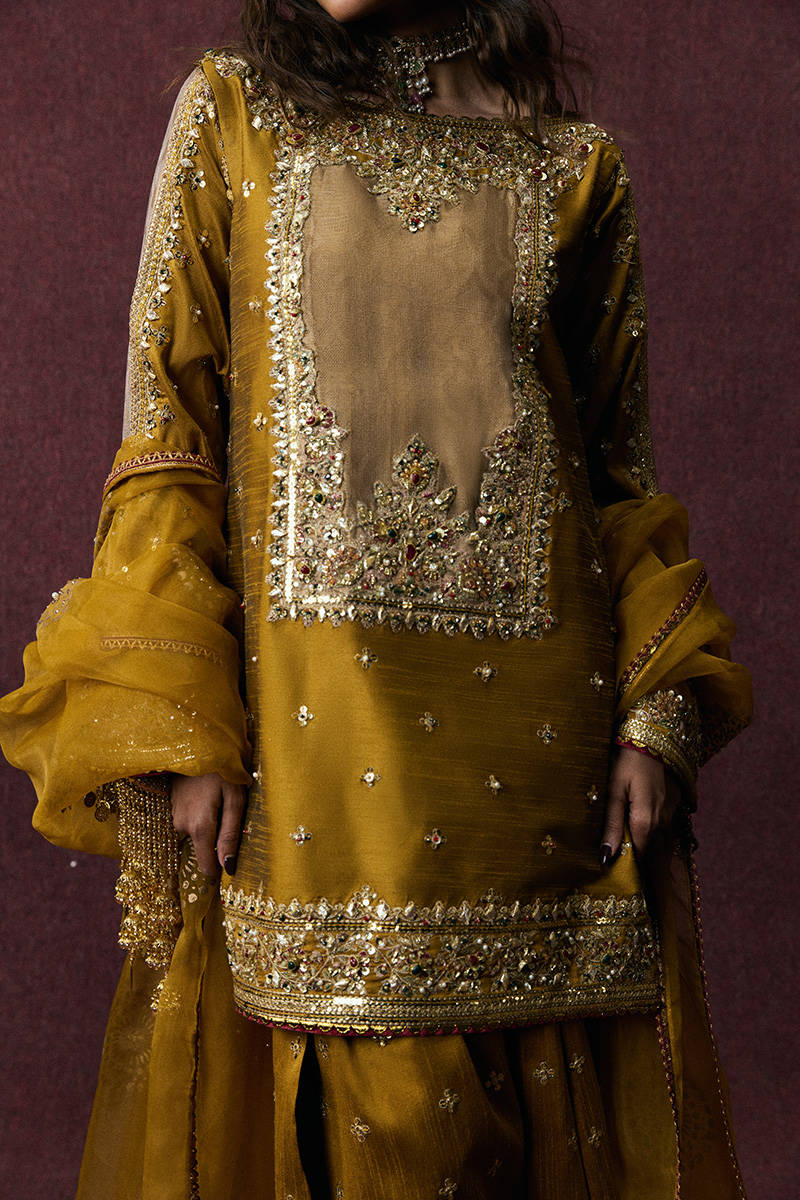 Picture of Bahar Begum