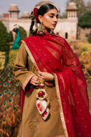 Picture of Noor e Dastaan