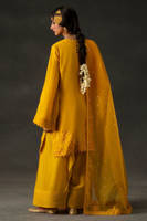 Picture of Iqbal Bano